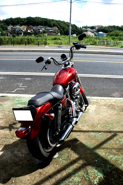 カスタムペイントSHIBAART ハーレースポーツスター（Harley-Davidson 2007年XL1200L）カスタムペイント