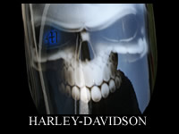 Harley Davidson スカルフレイムス