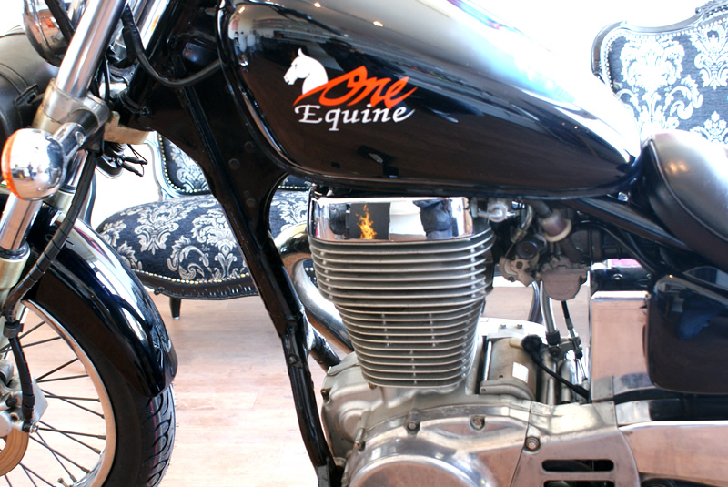 SUZUKI Savage　
