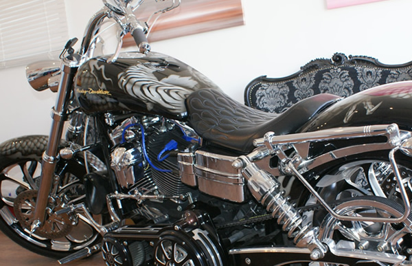 HARLEY DAVIDSON　虎図　24K金箔ロゴ　　　