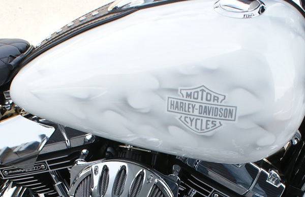 HARLEY DAVIDSON　メタリックシルバー　リアルフレイムス®　　　